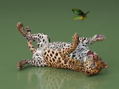  Playful Leopard Cub with Butterfly 