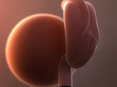  Fetus Collection - 37 models in development 