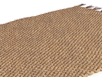 Enora Water Hyacinth Rug 90x60cm RendezVousDeco 3D model