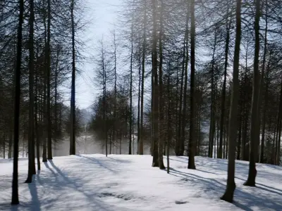 Winter Forest Sunset Scene Low-poly 3D model