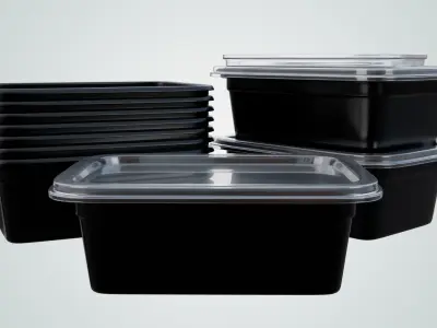 Reusable Lunch Box Container - Disposable 3D model