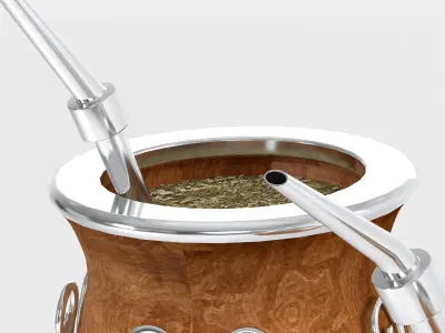 Mates Gauchos 3D model