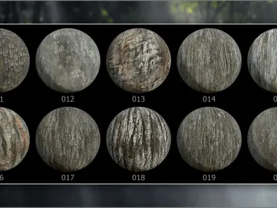 Megapack 100 Bark smart materials for Substance Painter Texture