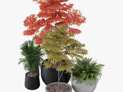 Pottery pots 3D model