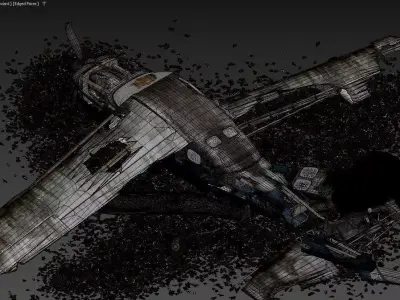 Destroyed Cessna 172 Skyhawk Wreckage Overgrown Forest Crash 3D model