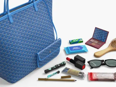  Lady's Bag and Its Contents Collection 