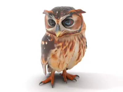 Majestic Owl Feathered model pack Low-poly 3D model