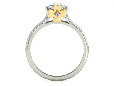 Women Ring  Render 3dm STL OBJ FBX Details 3D print model 259