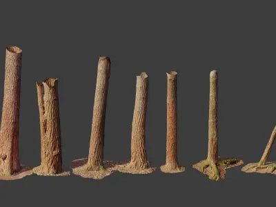  HQ Pine Tree Trunk Stump Scanned Collection Processed Low-poly 3D model