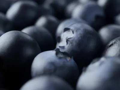  Blueberries - 4 Variations 
