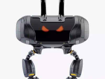 AERIAL CUTAN bunny 3D model