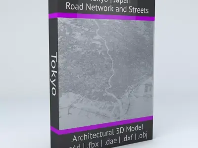 Tokyo Road Network and Streets 3D model