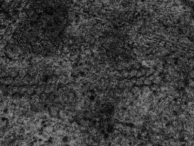 gravelgound02 3D model