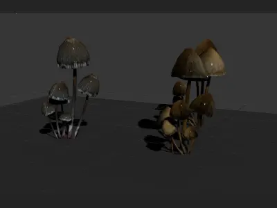 mushrooms collection Low-poly 3D model