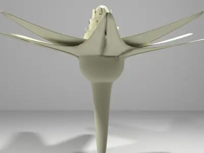 Flower - Cape 3D model