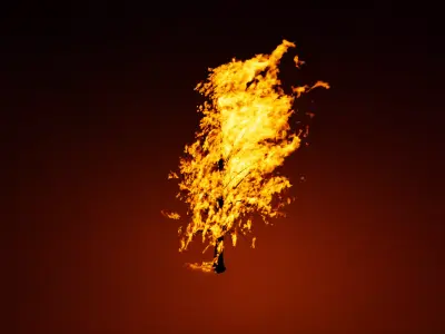 Burning Tree vdb 3D model