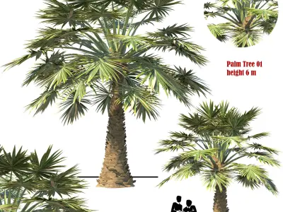 palm tree set 02 3D model