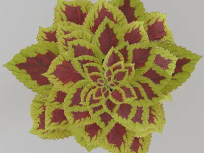 flower in a pot Low-poly 3D model