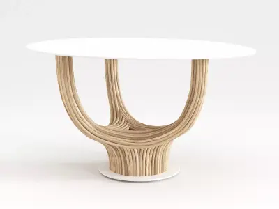 Acacia Coffee Table 3D model