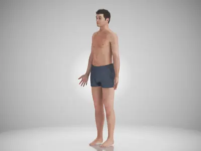 Human Digestive with Anatomic Cut Low-poly 3D model