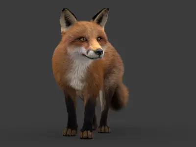  Fox (2) (Animated) (Fur) 