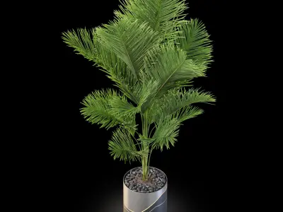 Plants collection 874 3D model