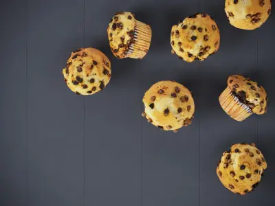 Chocolate Chip Muffins 4 Models