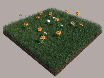 Grass grassy field with orange flowers 3D model