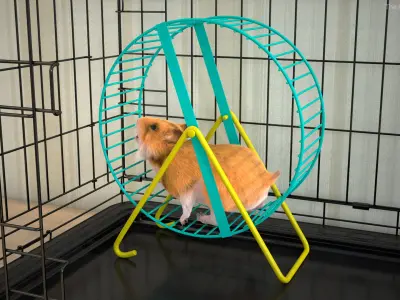  Golden Hamster Rigged 