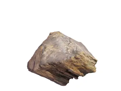 Petrified Wood 3 Low-poly 3D model