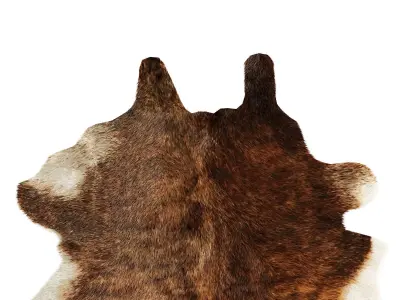 Rustic Living Rug 3D model