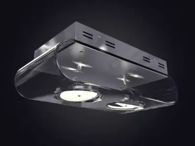 Two Bulb Ceiling Light 3D model