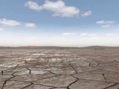 Dried Desert Bed 9 3D model
