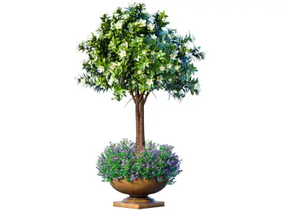 Decorative tall garden tree shrub flowerbed in floorvase  3D model