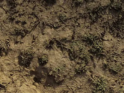 autumngrassgroundscan06102024 3D model