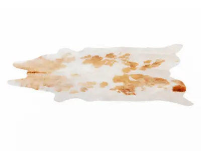 Spotted Brown And White Cowhide Rug 3D model