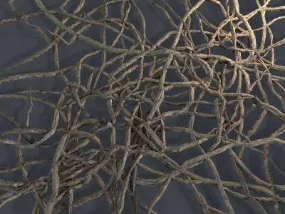 Wood Roots Low-poly 3D model