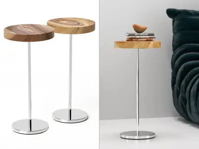 Chanterelle Side Table 3D model
