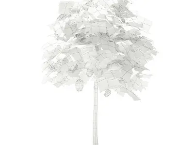 Mango Tree with Fruits 3D model