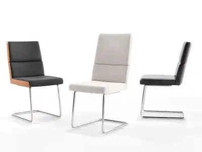 DS 414 Cantilever Chairs 3D model