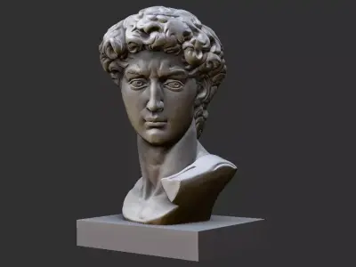 DAVID BUST 3D print model