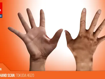 Retopologized Hand Scan | 3D Model Tokuda Heizo