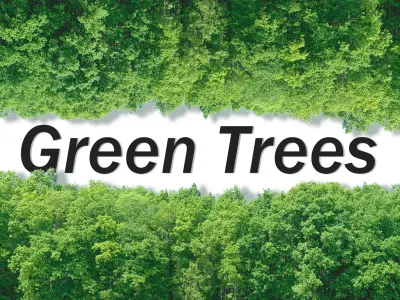 Green Trees  and Gift 3D model