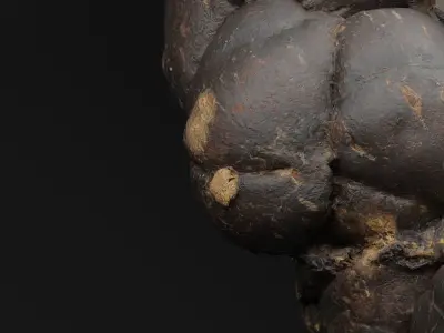 Manure 3D model