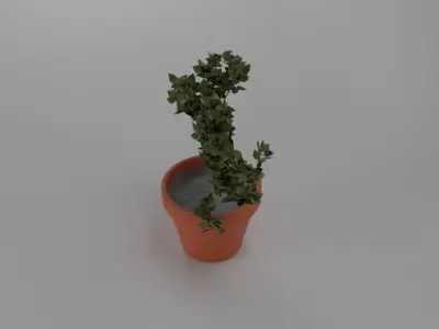 Garden Plant 3D model