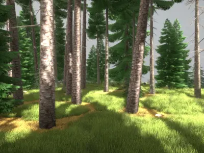 Spruce Forest Scene Low-poly 3D model
