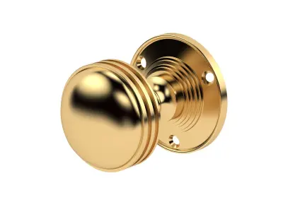 Ringed Mortice Door Knob  3D model