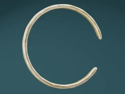 Golden Bangle  Low-poly 3D model shop
