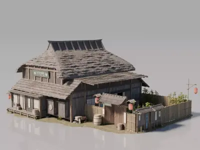 Traditional Japanese House 14 3D model