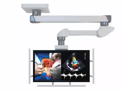 Monitor Carrier Low-poly 3D model